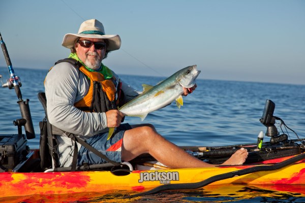Catch and release of my first Yellowtail on the Kraken